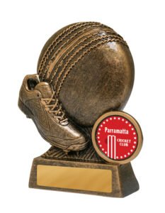 Milo Series Cricket 110mm