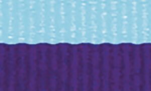 L.Blue / Purple Ribbon