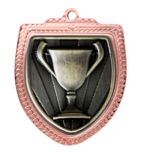 Shield Medal – Achievement 80mm