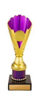Norwood Cup