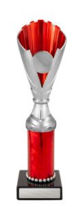 Norwood Cup