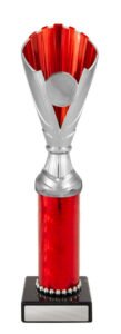 Norwood Cup