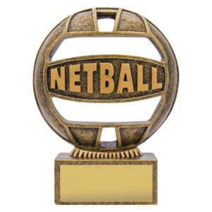 Netball ‘The Ball’