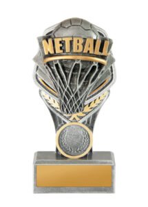Budget Stand-Netball