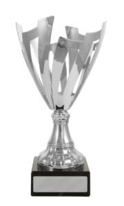 Nest Cup