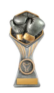 Gladiator Tower-Boxing