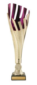 Tenerife Cup