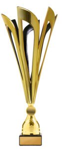 Mayflower Cup