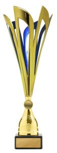 Mayflower Cup