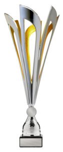 Mayflower Cup