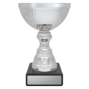 Reverie Cup – Silver