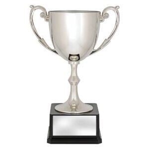 Recognition Cups