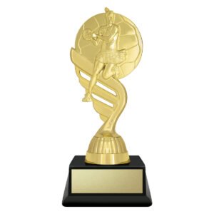 Budget Gold – Netball