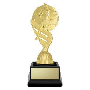 Budget Gold – Netball