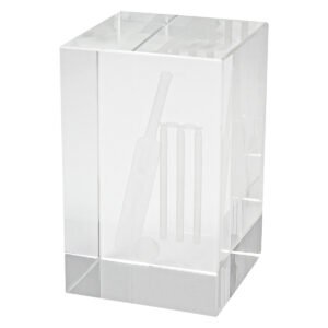 Cricket Crystal Block