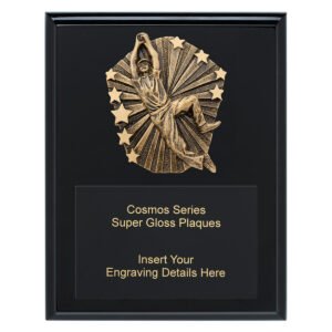 Cosmos Super Plaque – Male Fielding