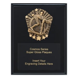 Cosmos Super Plaque – Male Swim