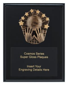 Cosmos Super Plaque – Volleyball