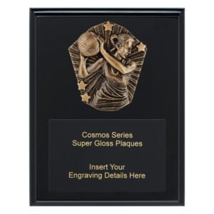 Cosmos Super Plaque – Netball