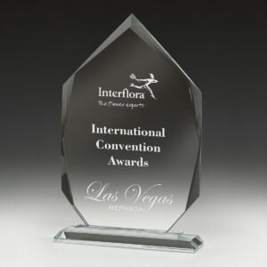 Integrity Arrowhead