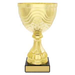 Community Cup