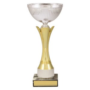 Equity – Gold & Silver