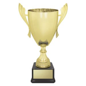Ironside Cup – Gold