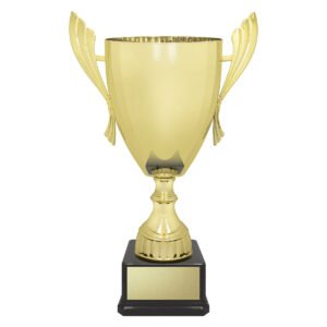 Ironside Cup – Gold