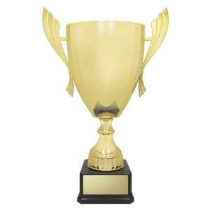 Ironside Cup – Gold