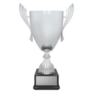 Ironside Cup – Silver