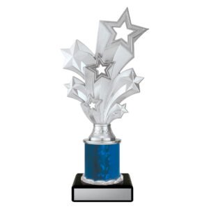 Silver Starburst