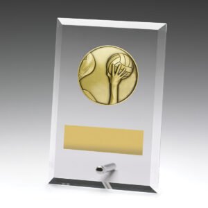 Glass Plaques – Water Polo