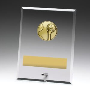 Glass Plaques – Water Polo