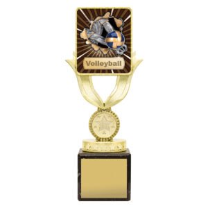 Lynx Sentry – Volleyball