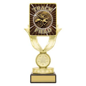 Lynx Sentry – Track & Field