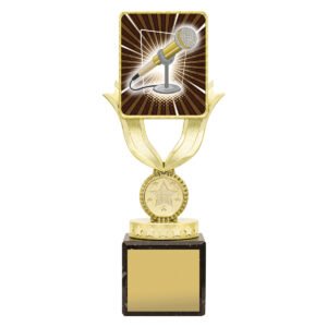 Lynx Sentry – Public Speaking
