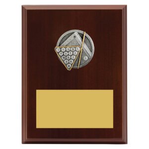 Peak Plaque Pool / Snooker