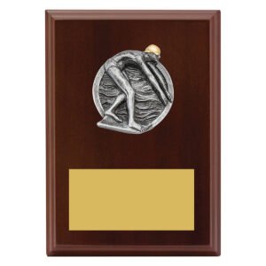 Peak Plaque – Male Swim