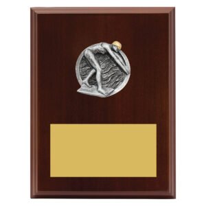 Peak Plaque – Female Swim