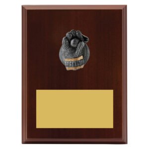 Plaque – Wicketkeeper