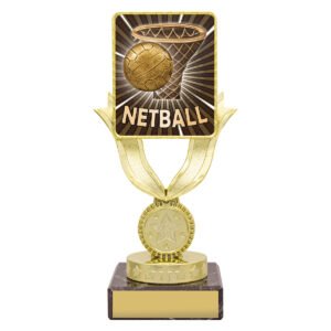 Lynx Bold – Netball