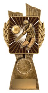 Lynx – Cricket Batsman