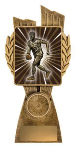 Antique Gold Lynx – Male Aussie Rules