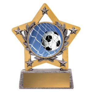Mini Star Colour – Ball in Net