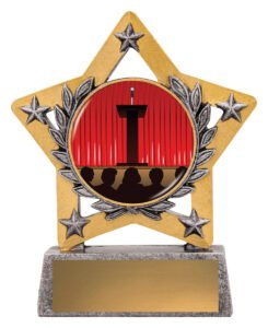 Mini Star Colour – Public Speaking