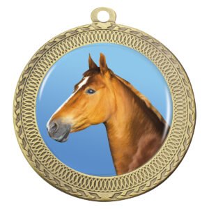Ovation – Horse