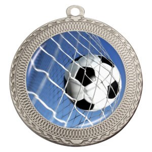 Ovation – Ball in Net