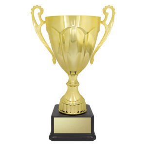 Rubicon Gold Cup