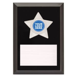Star Plaque – Silver