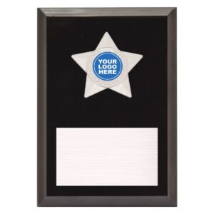 Star Plaque – Silver